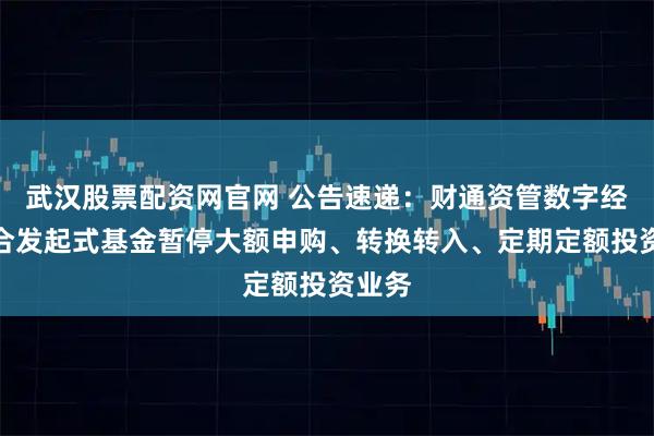 武汉股票配资网官网 公告速递:财通资管数字经济混合发起式基金暂停大额申购、转换转入、定期定额投资业务