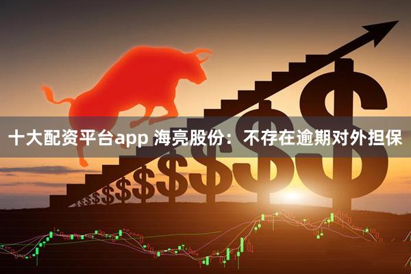 十大配资平台app 海亮股份:不存在逾期对外担保