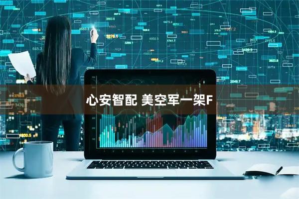 心安智配 美空军一架F