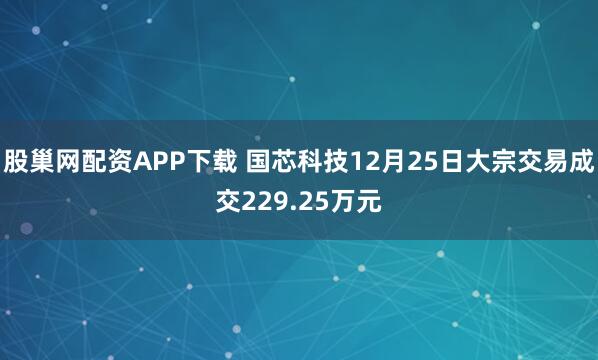 股巢网配资APP下载 国芯科技12月25日大宗交易成交229.25万元